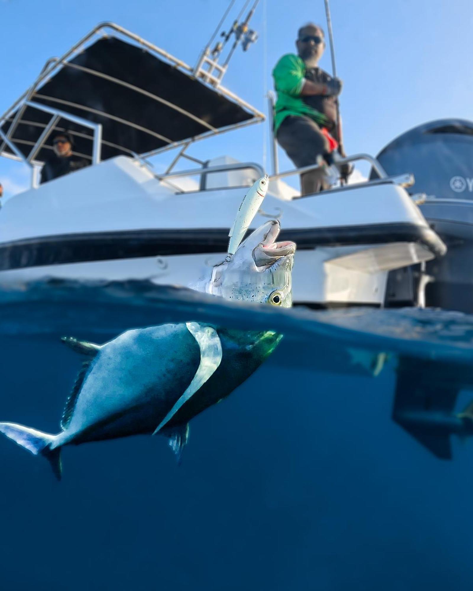 Nihaali Maldives Otel Kudarikilu Dış mekan fotoğraf
